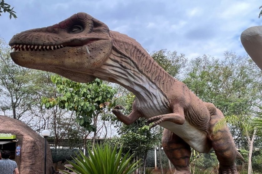 Vale dos Dinossauros