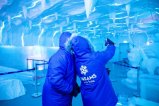 Ice Bar
